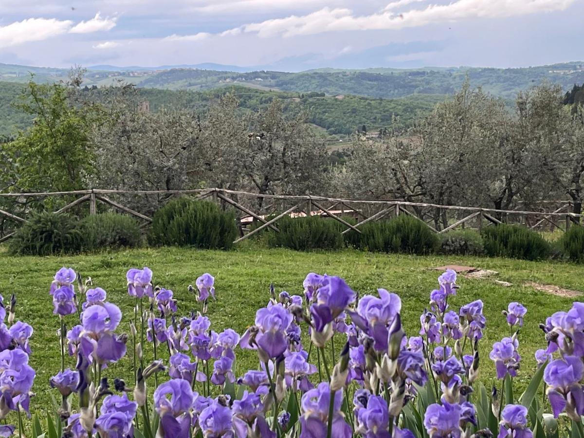 Il Fiorino Di Badia Lejlighed Badia A Passigano Eksteriør billede