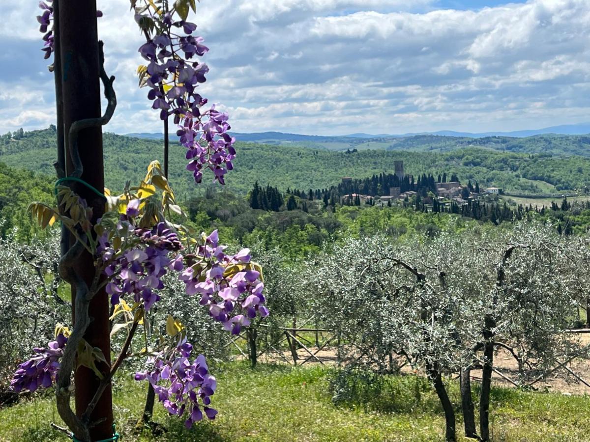 Il Fiorino Di Badia Lejlighed Badia A Passigano Eksteriør billede