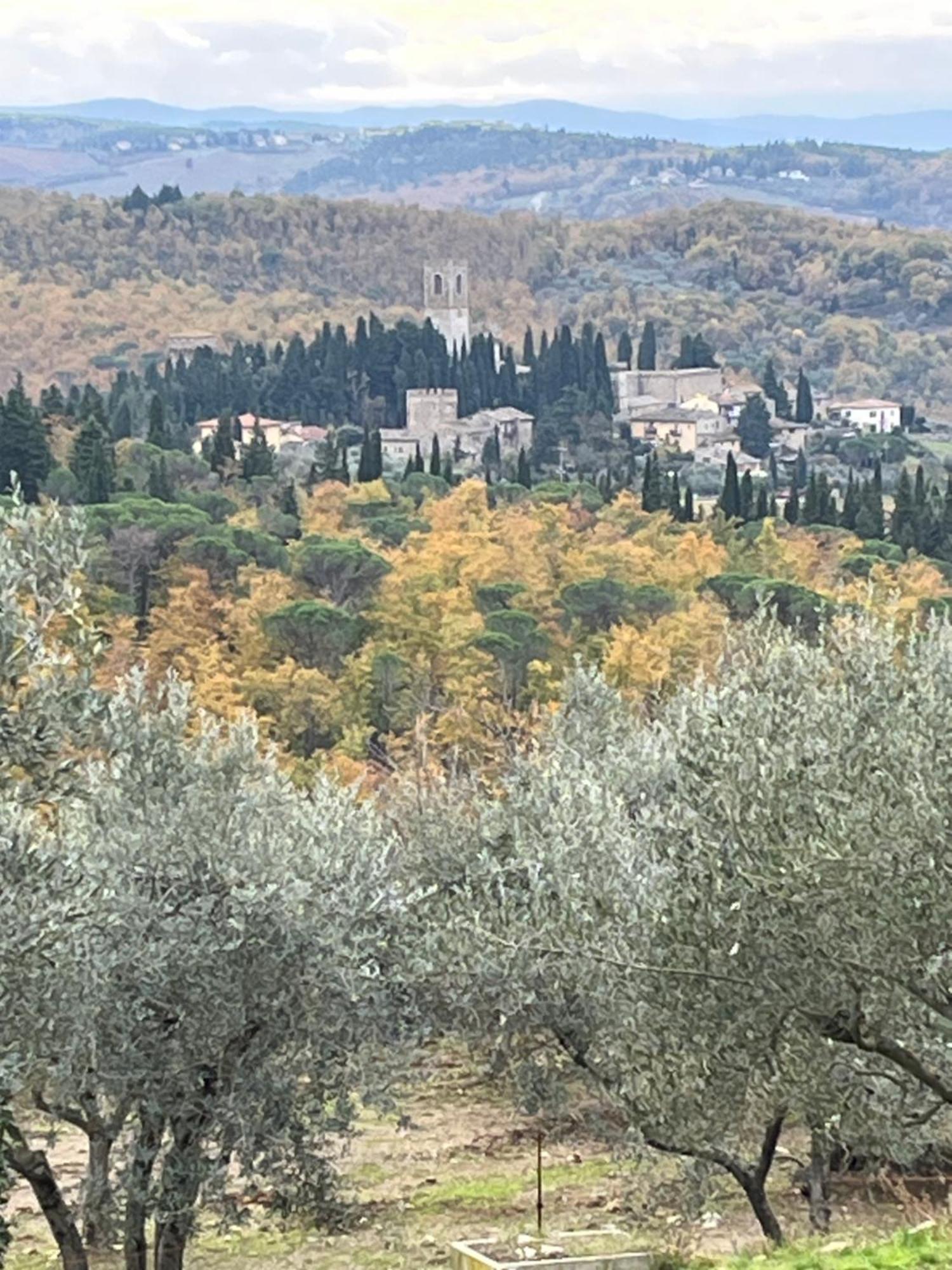 Il Fiorino Di Badia Lejlighed Badia A Passigano Eksteriør billede