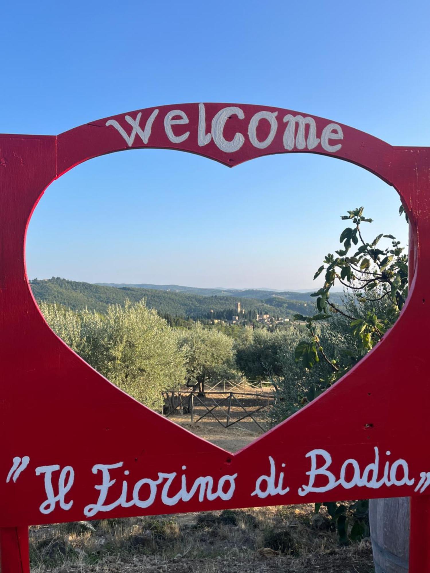 Il Fiorino Di Badia Lejlighed Badia A Passigano Eksteriør billede