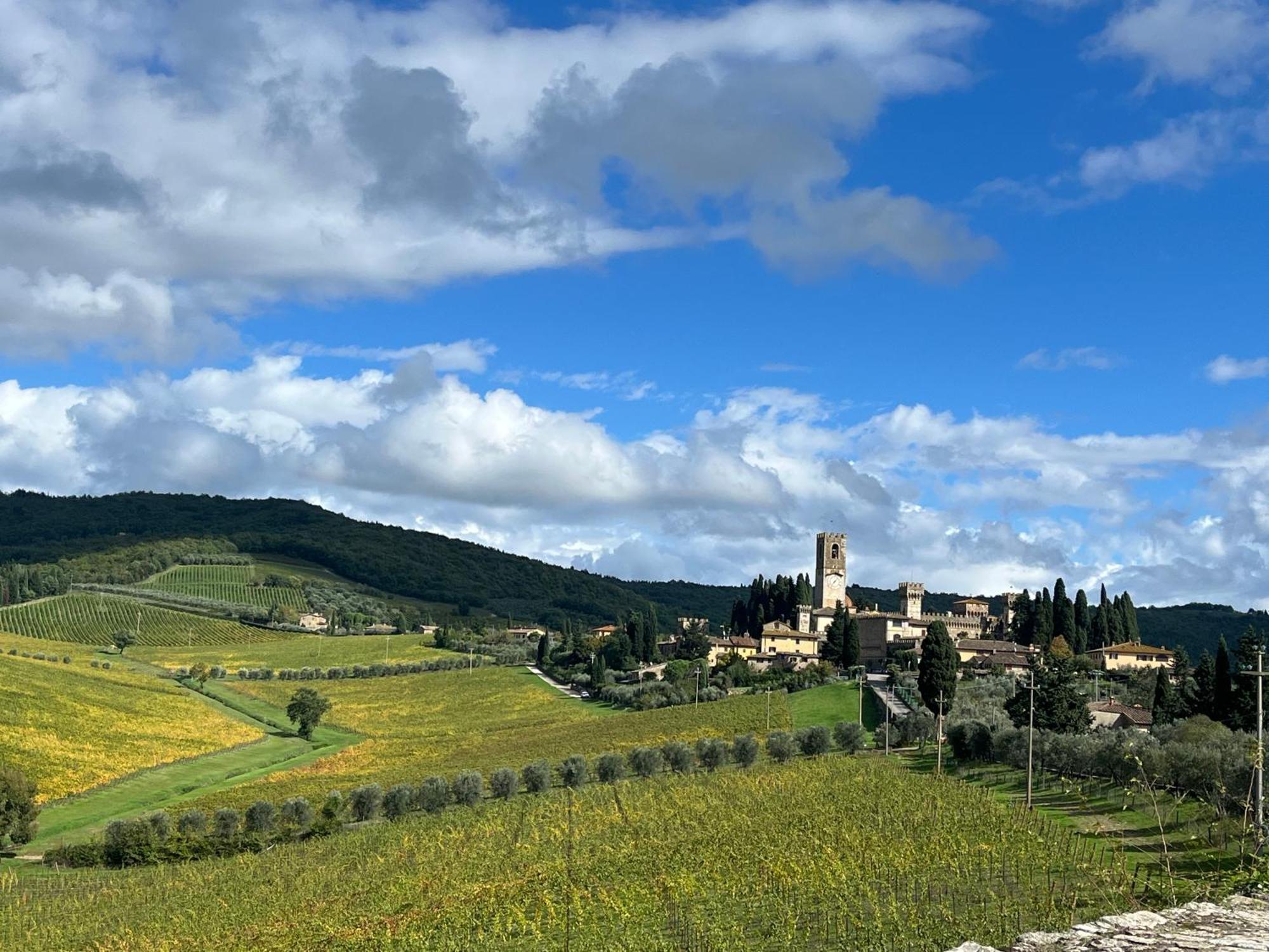 Il Fiorino Di Badia Lejlighed Badia A Passigano Eksteriør billede